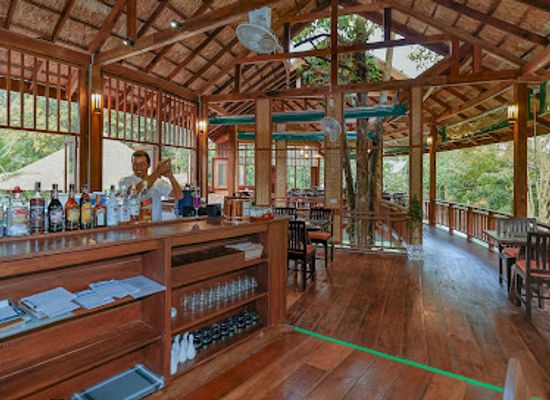 thailand/khao-sok-national-park/bar/our-jungle-restaurant-bar