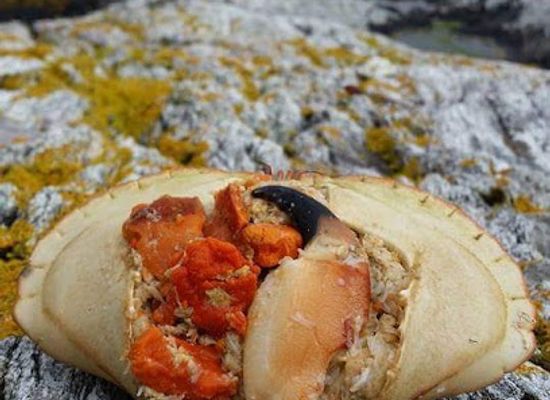 norway/sogn-og-fjordane/bar/faroykavlen-sea-house