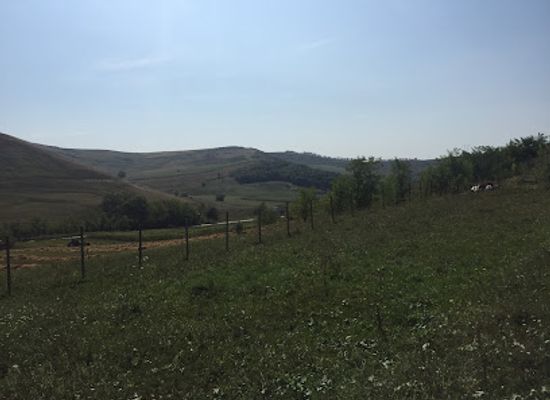 romania/moldavia/bar/magazin-bar-moldavia