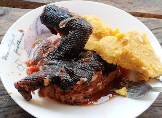 cameroon/south-region/bar/viande-de-brousse