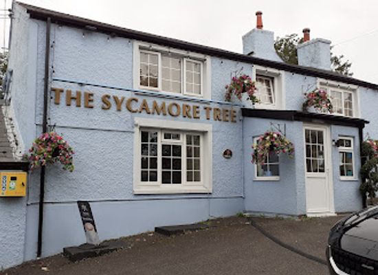 united-kingdom/south-glamorgan/bar/the-sycamore-tree