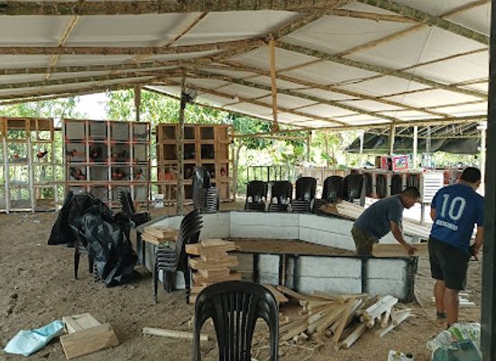 colombia/putumayo/bar/chango
