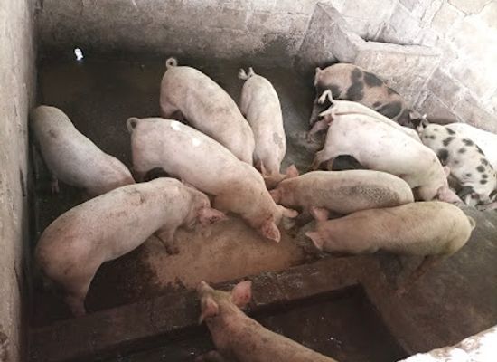 cote-d-ivoire/yamoussoukro-autonomous-district/bar/le-village-des-vins
