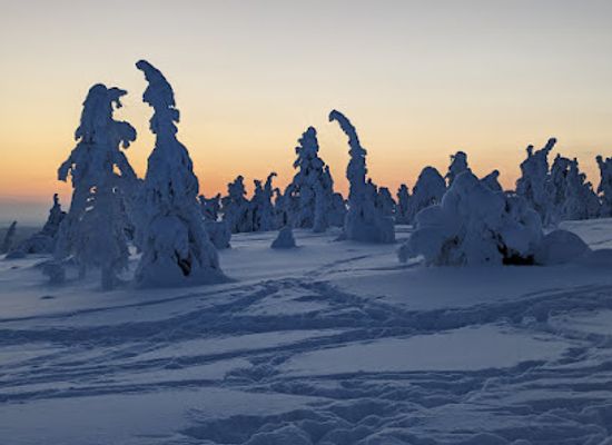 finland/riisitunturi-national-park/bar/riisitunturi