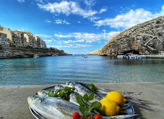malta/xlendi-area/bar/mobydick-bar-restaurant-holiday-apartments