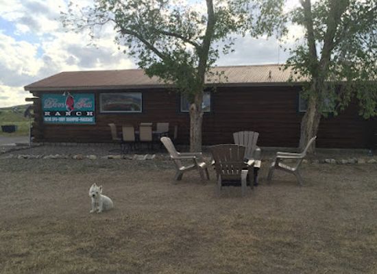 nevada/eureka-county/bar/the-dovetail-ranch