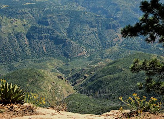 arizona/sierra-ancha/bar/sierra-ancha-wilderness