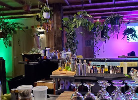 florida/jacksonville/bar/wildcrafters-booze-free-kava-bar