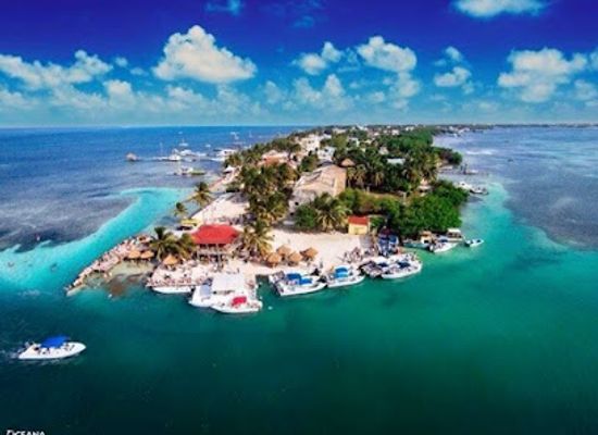 belize/lighthouse-reef-atoll/bar/the-lazy-lizard