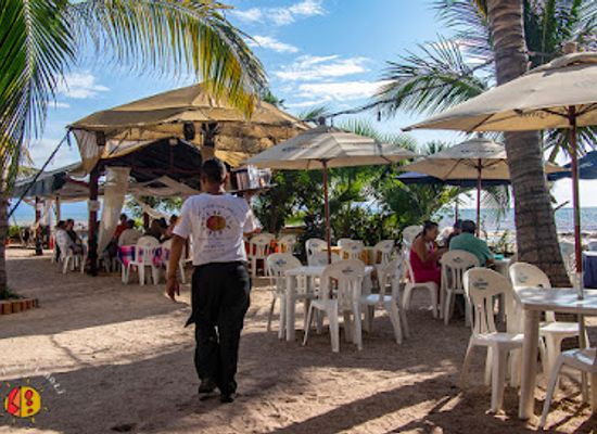 mexico/pacific-coast/bar/el-oasis-del-holi