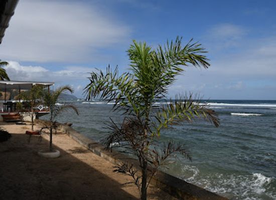dominica/hampstead-beach/bar/coral-reef-bar-restaurant