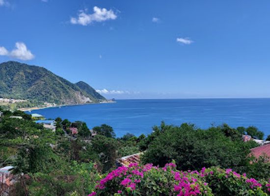 dominica/batalie-beach/bar/top-bar