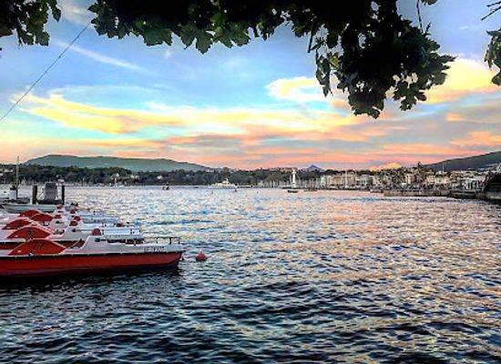 switzerland/lake-geneva-region/bar/la-terrasse