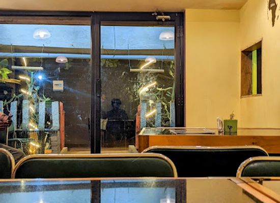 india/puducherry/auroville/bar/crescent-cafe-restaurant-a-c-rooftop