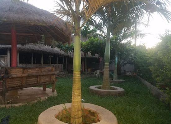 uganda/ssese-islands/bar/victoria-gardens-bugoma