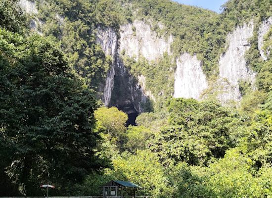malaysia/mulu-national-park/bar/deer-cave