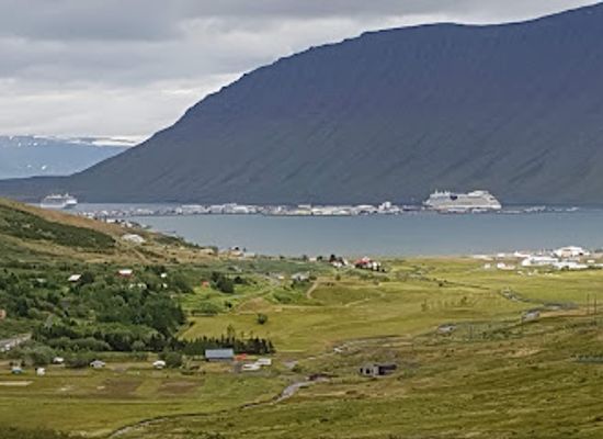 iceland/isafjordur/bar/ulfsa