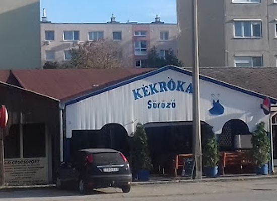hungary/tatabanya/bar/blue-fox
