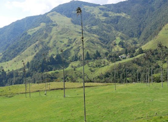 colombia/cocora-valley/bar/cocora-xtreme