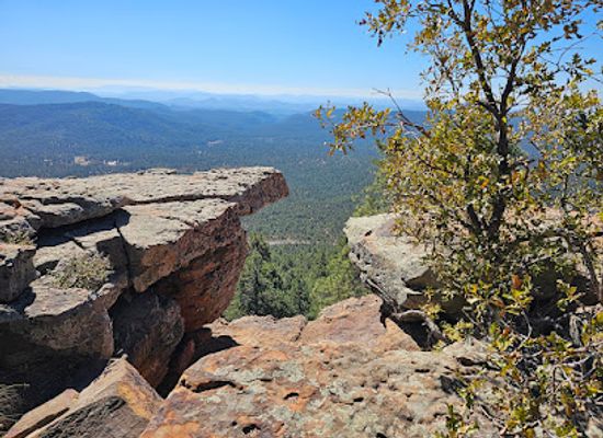 arizona/mogollon-rim/bar/rim-lakes-vista-overlook