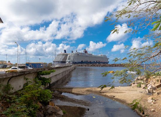 saint-kitts-and-nevis/basseterre/bar/bayside-bars-various-photos-collection