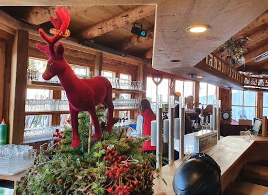 austria/saalbach-hinterglemm/bar/monkey-bar