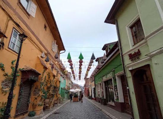 romania/sighisoara-area/bar/baum-games