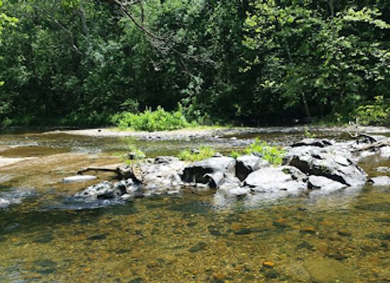 maryland/gunpowder-falls-state-park/bar/gunpowder-falls-state-park-hammerman-area