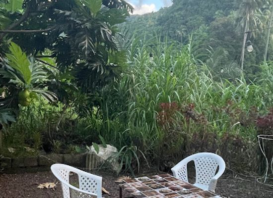 comoros/mutsamudu/bar/les-jardins-de-tsantsani