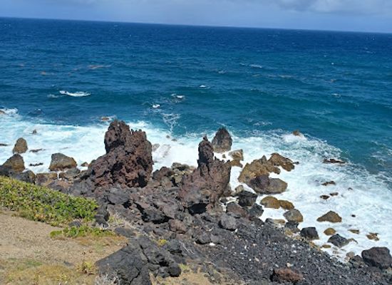 saint-kitts-and-nevis/black-rocks/bar/black-rock-bbq-shack
