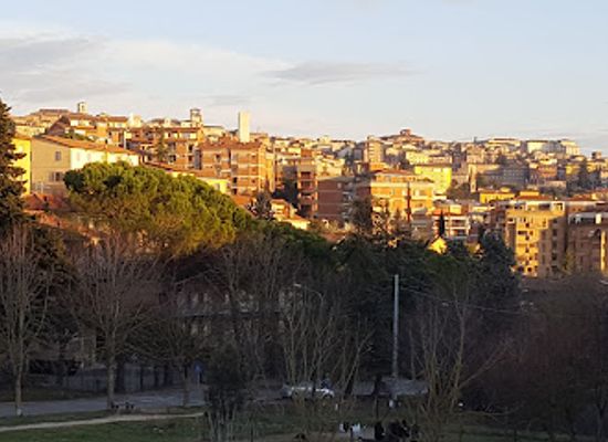 italy/umbria/bar/bar-modugno