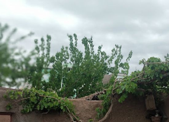 afghanistan/takhar/bar/dark-home