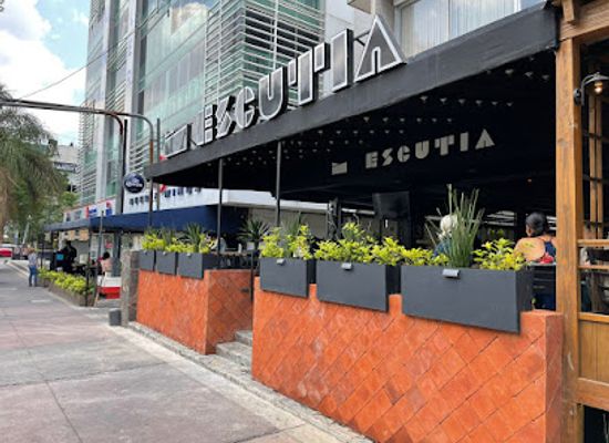 mexico/guadalajara/chapultepec/bar/escutia