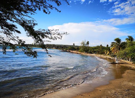 jamaica/treasure-beach-area/bar/dougie-s-bar