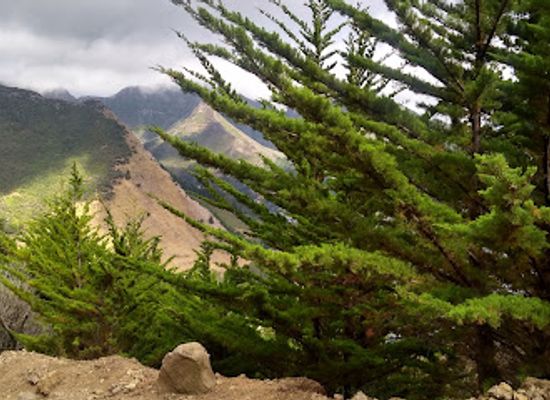 chile/juan-fernandez-archipelago/bar/robinson-crusoe-island