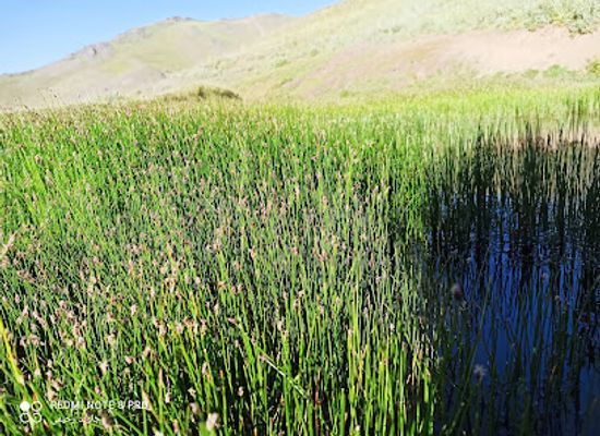 afghanistan/wardak/bar/