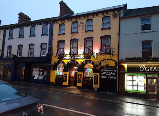 ireland/county-tipperary/bar/nellie-o-briens