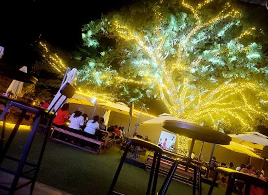 zambia/liuwa-plain/bar/free-fun