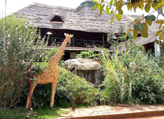 burundi/gitega/bar/favina-home