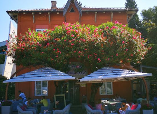 montenegro/bar-riviera/bar/le-petit-chateau