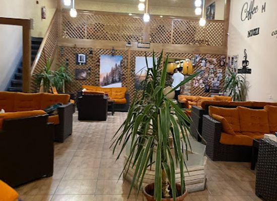 jordan/petra/wadi-musa/bar/white-bird-cafe
