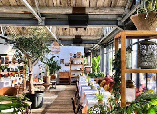 netherlands/bollenstreek/bar/branding-beach-club