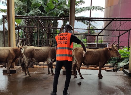 guinea/beyla-region/bar/kipe-conakry