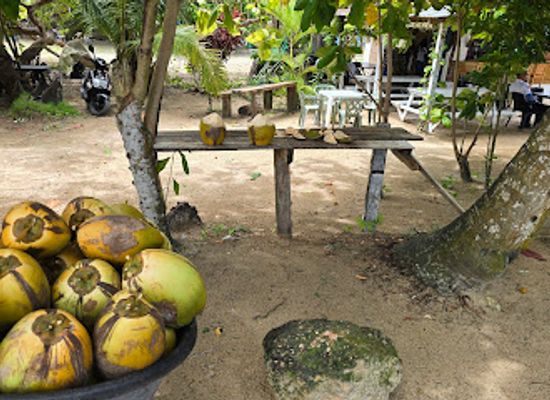 dominican-republic/samana-peninsula/bar/rodnel-coco