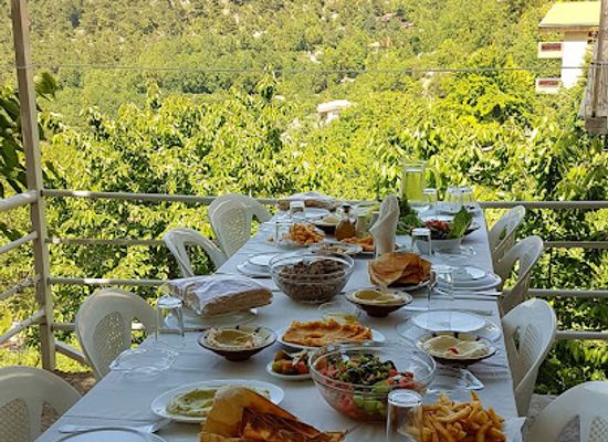 lebanon/horsh-ehden/bar/restaurant-nebeh-jouit