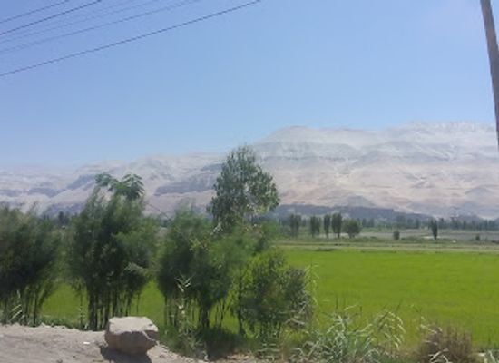 peru/colca-canyon/bar/bodega-don-berly