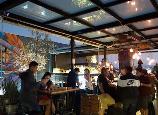 mexico/gulf-coast/bar/terraza-catedral