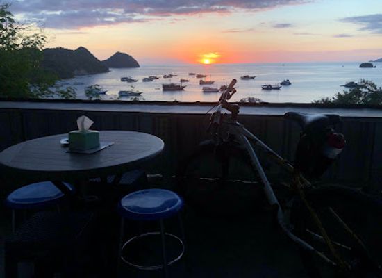 indonesia/komodo-national-park/bar/the-king-komodo