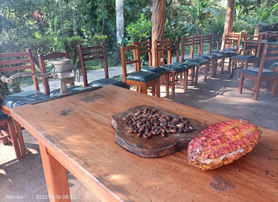 ecuador/amazon/bar/suchipakari-amazon-eco-lodge-jungle-spa
