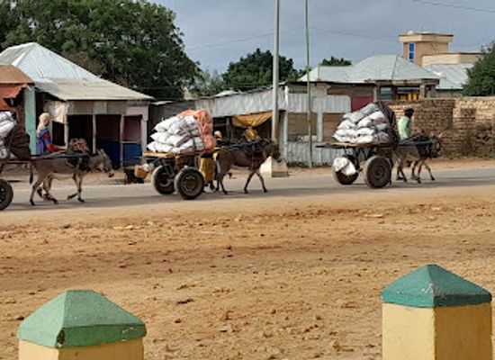 somalia/bay/bar/zeytuun-bar-and-restaurant-baidoa